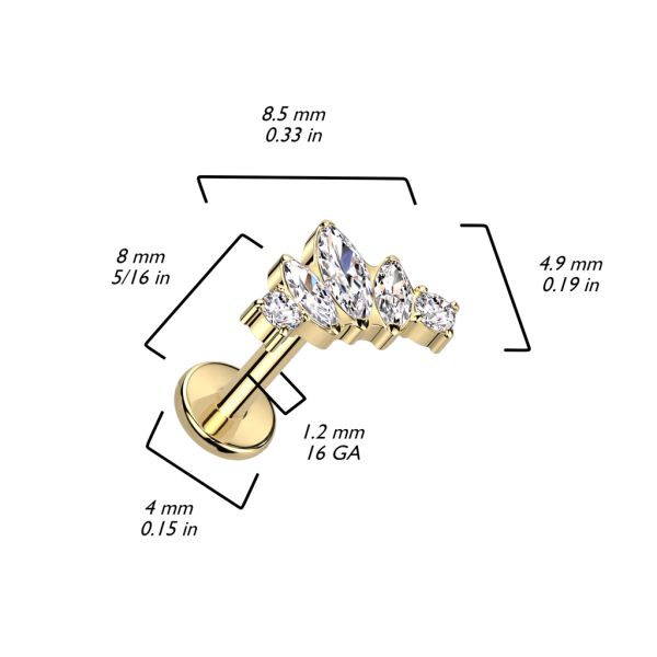 Diadem Titanium Clear 1.2mm-Labret-3
